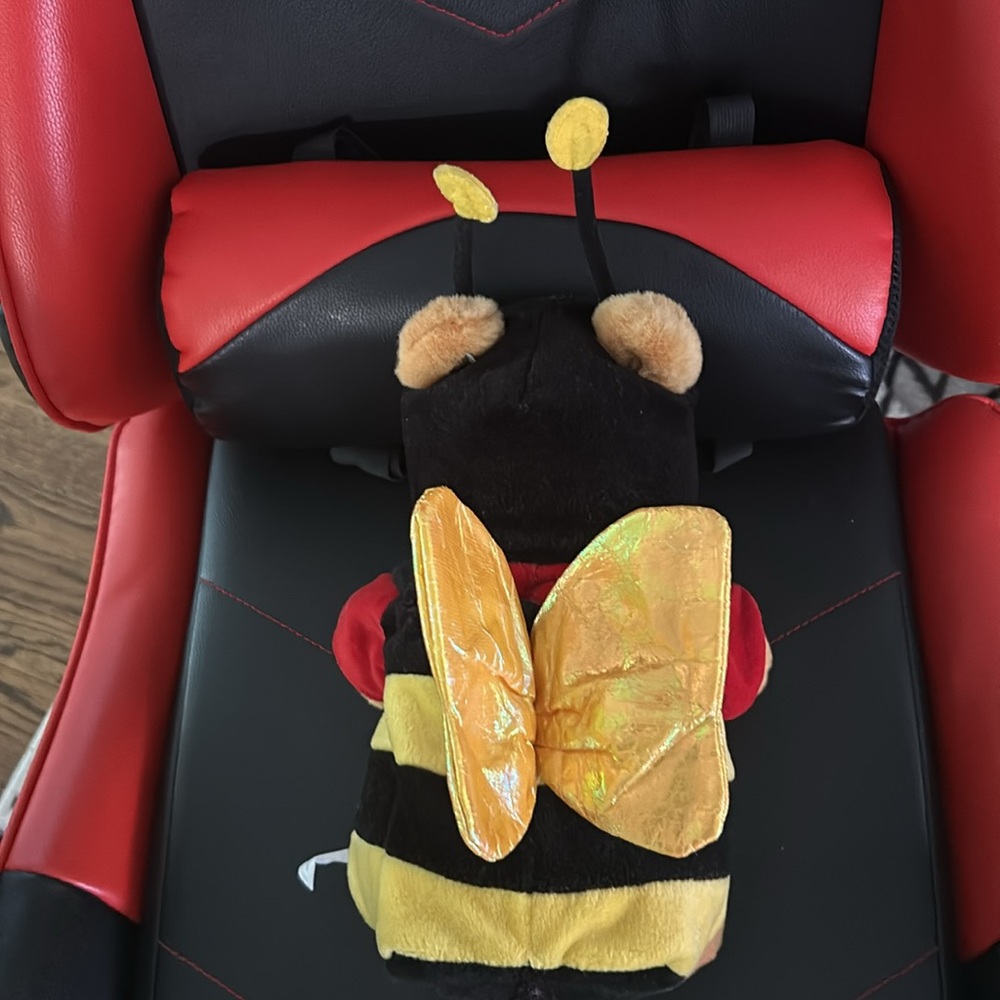 Winnie the Pooh bear in a bumble bee outfit stuffed toy Walt Disney World - Picture 3 of 3